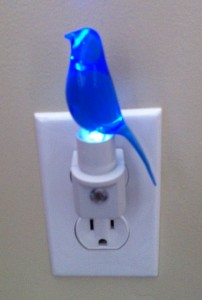 blue canary in the outlet by the lightswitch